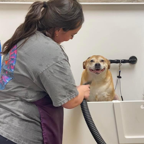 EarthWise Pet Nutrition Center & Wellness Spa Corpus Christi