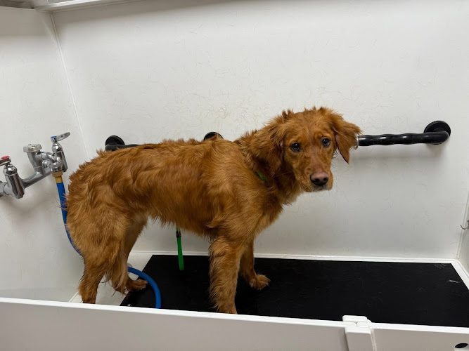 EarthWise Pet Supply & Grooming Cottage Grove