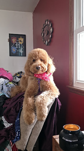 EarthWise Pet Supply & Grooming - West Des Moines