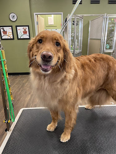 EarthWise Pet Supply