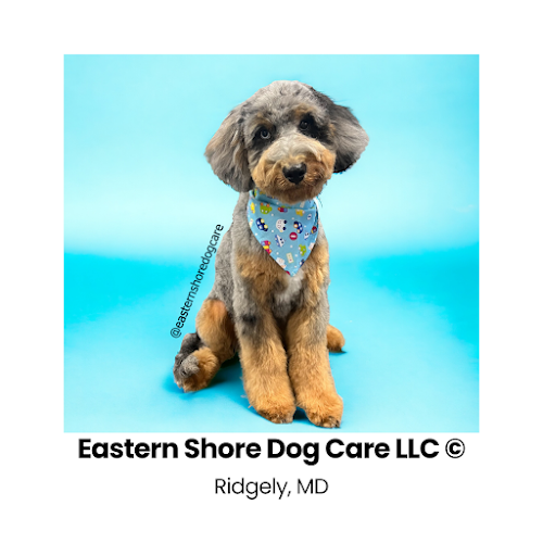 Eastern Shore Dog Care