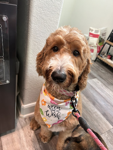 Elevated Touch Pet Salon