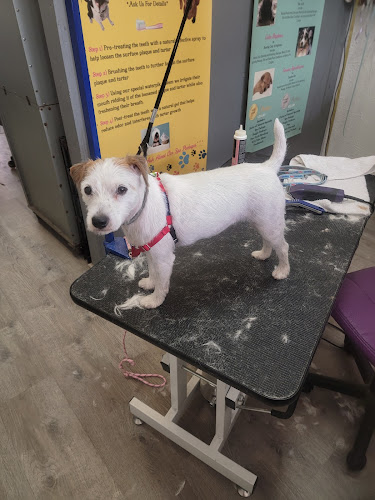 Eloise's Clip & Fluff Boutique