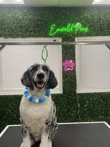 Emerald Paws Pet Grooming Parlor
