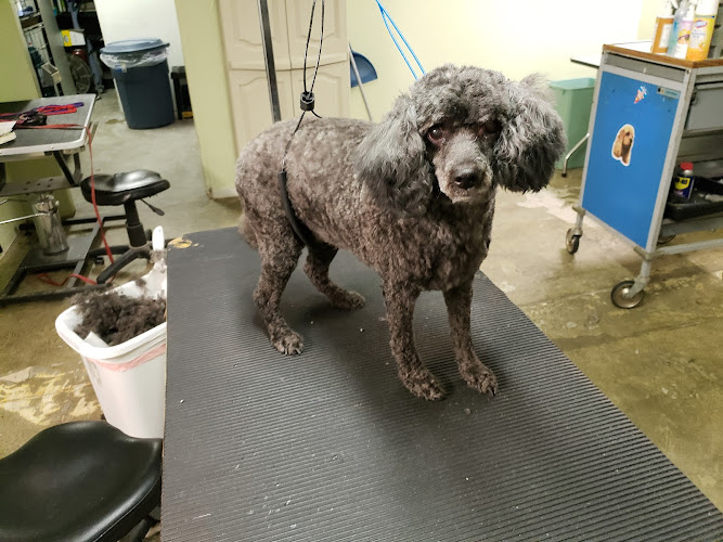 Evansville Pet Grooming & Spaw, LLC