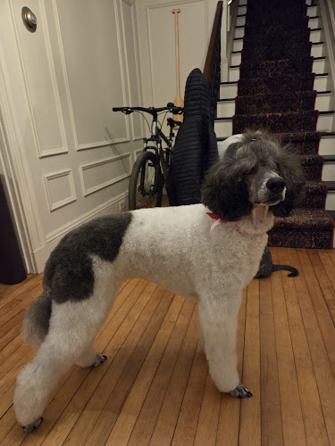 Evergreen Grooming LLC