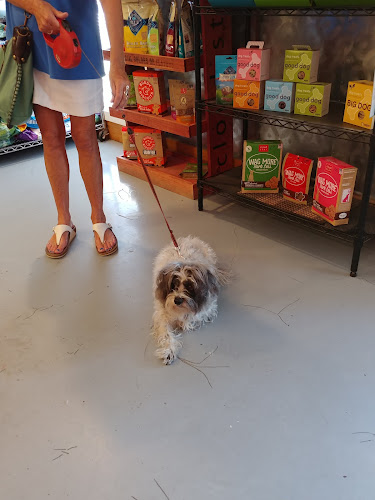 Evergreen Pet Lodge South