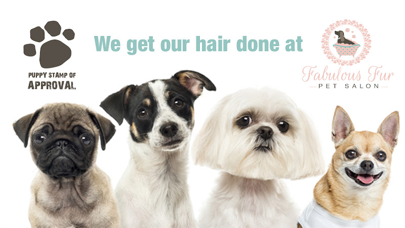 Fabulous Fur Pet Salon