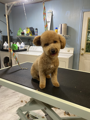 Fairy Tails Grooming