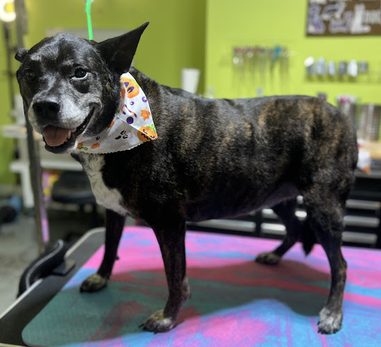 FairyTails Grooming LLC