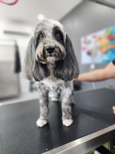 Faith & Pups Grooming Services LLC.