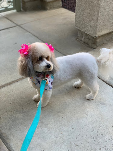 Faithful Companions Dog Grooming