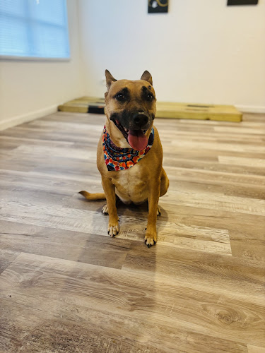 Faithful Paws K9 Spa