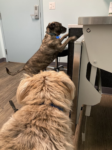 Family Vet Care Center