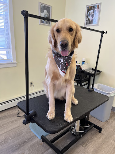 Fancy Furclips Pet Salon