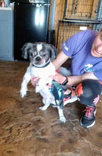 Fancy Paw's Pet Salon LLC