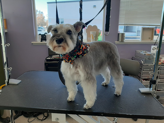 Fancy Paws Pet Salon