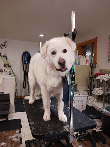 Faux Paws Pet Grooming