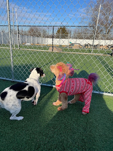 Fetch Family Pet Resort