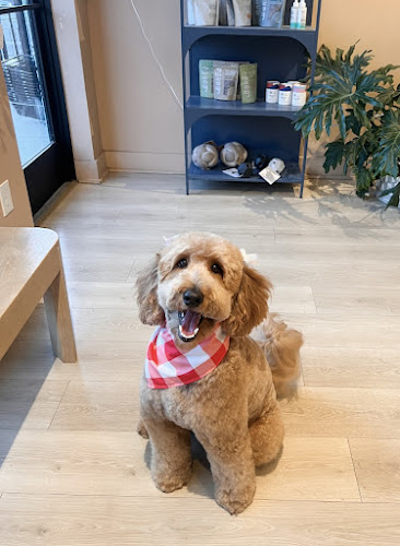 Floof Grooming Salon