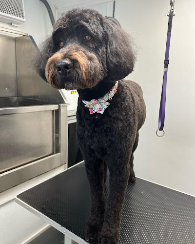 Florida Paws Luxury Dog Grooming & Boutique