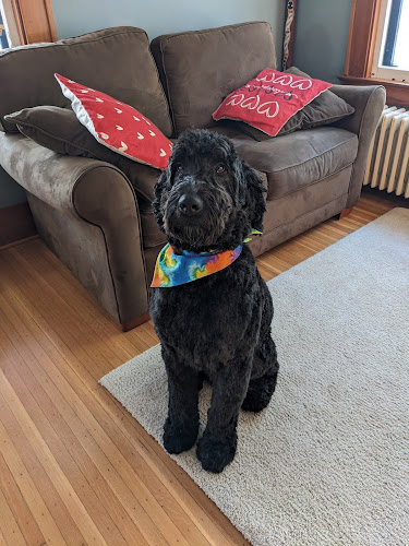 Flower City Pups Grooming Salon