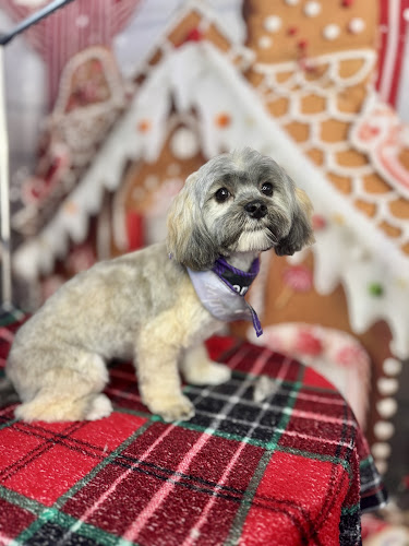 Fluff It Grooming Salon