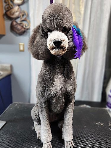 Fluff-It Mobile Grooming