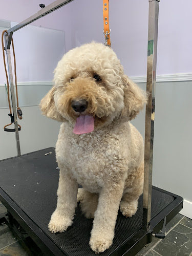 Fluffers Pet Grooming