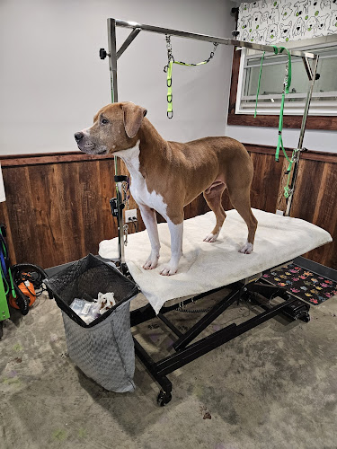 Fluffin' Awesome Mutts Dog Grooming & Spa