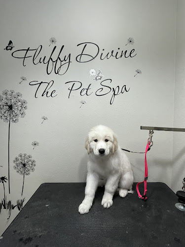 Fluffy Divine The Pet Spa