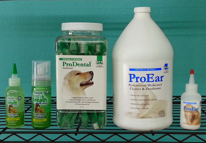 Fluffy Mutt Grooming Salon