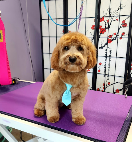 Fluffy Paws Grooming JC