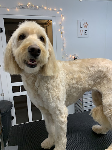 Fluffy Paws Pet Salon