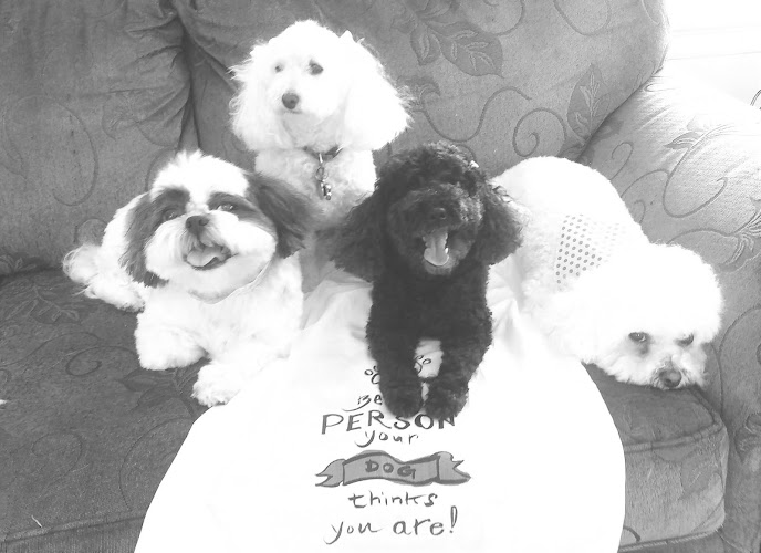 Flying Fur Dog Grooming Inc