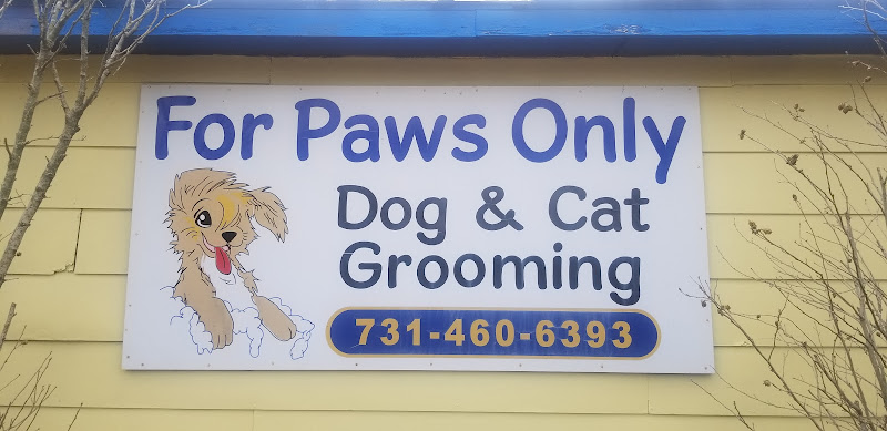 For Paws Only