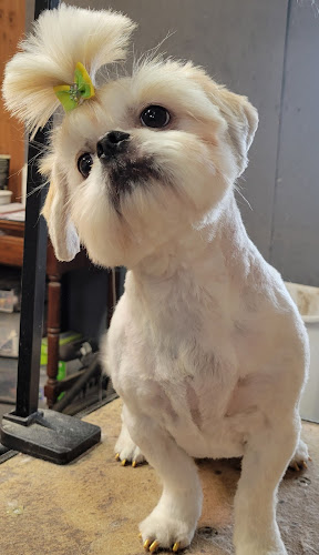 For Pets Sake Grooming Salon