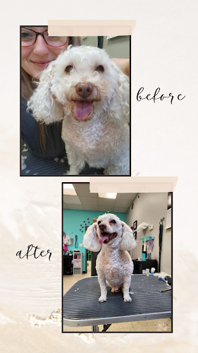 For Pets Sake Pet Grooming