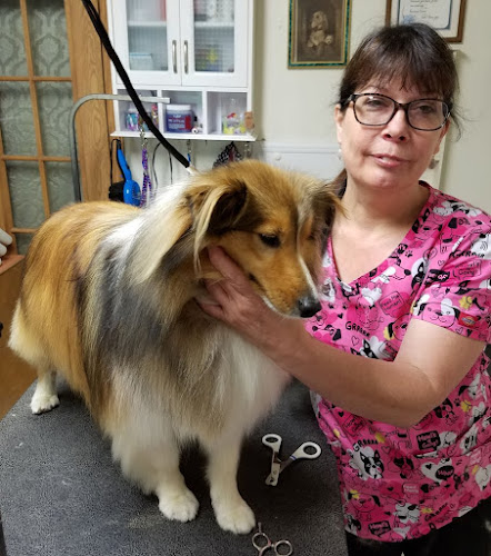 Forget-Me-Not pet grooming