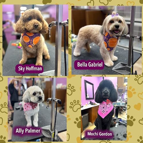 Four Paws Dog Grooming