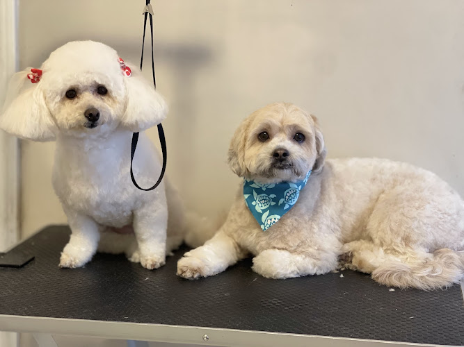 Four Paws Grooming inc.