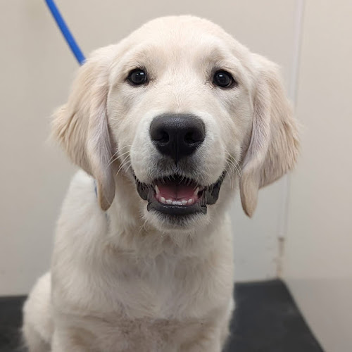 Four Paws Pantry & Spa