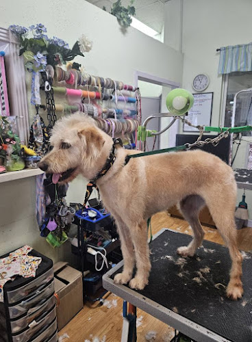 Foxy Pup Grooming Salon & Spa