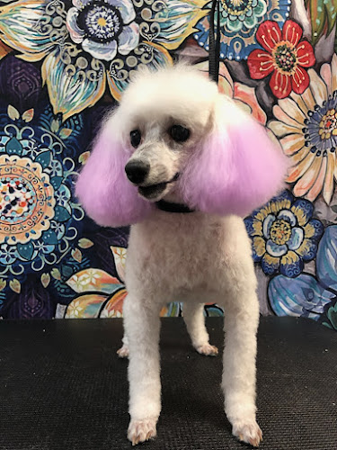 Foxy Roxy Grooming Salon