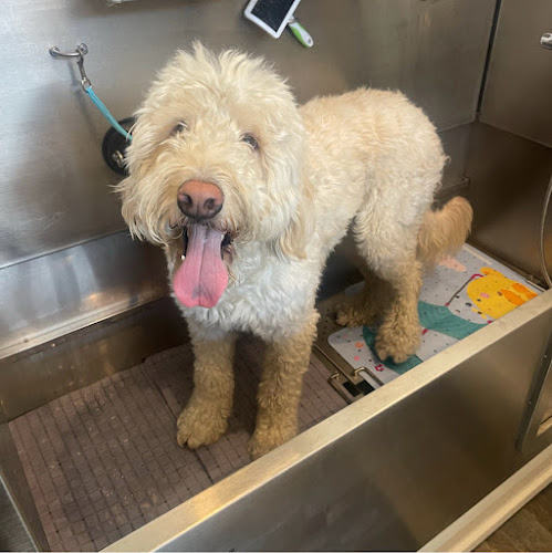 Freebirds Groom Room