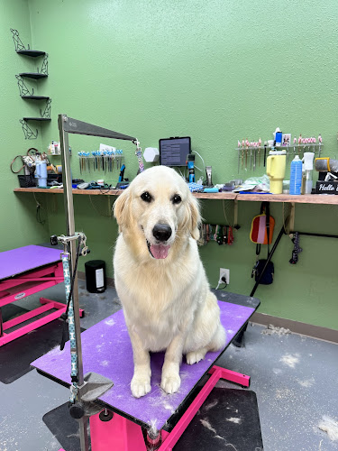 Fresh Pets Day Spa formerly Luna's Paw Spa