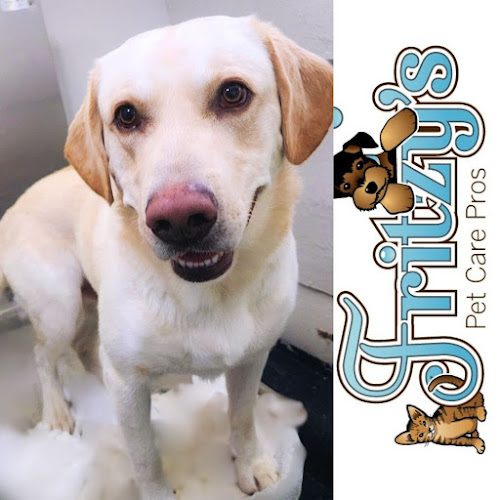 Fritzy's Pet Care Pros