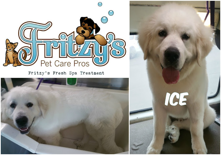 Fritzy's Pet Care Pros