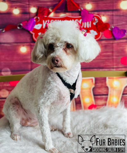 Fur Babies Grooming Salon & Spa