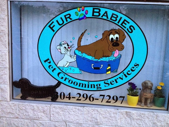 Fur Babies, LLC